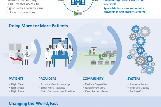 About Project ECHO Infographic